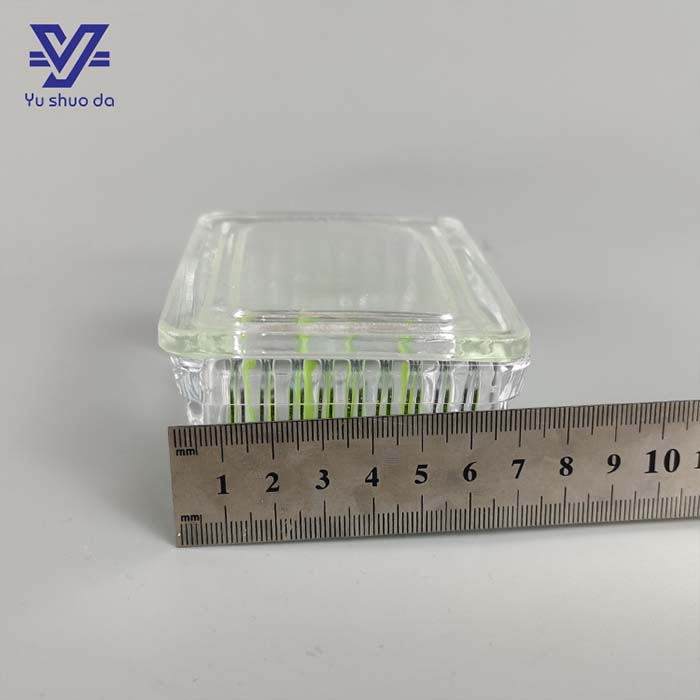 Tissue Glass Slide Staining Jar