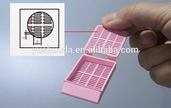 Disposable Embedding Cassette