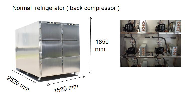 6 body mortuary freezer 