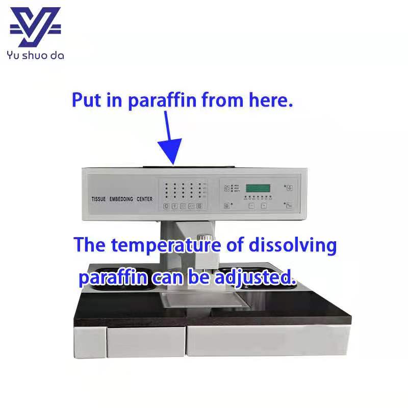 tissue embedding