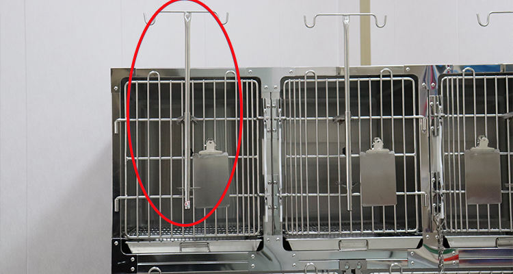veterinary cages