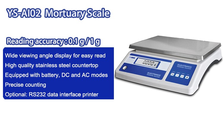 analytical balance