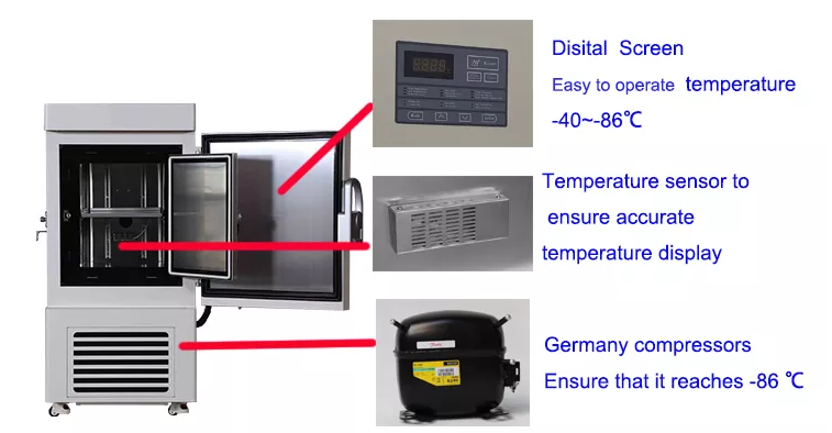 -86 vaccine freezer 