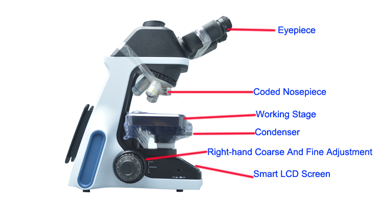 Biological Microscope