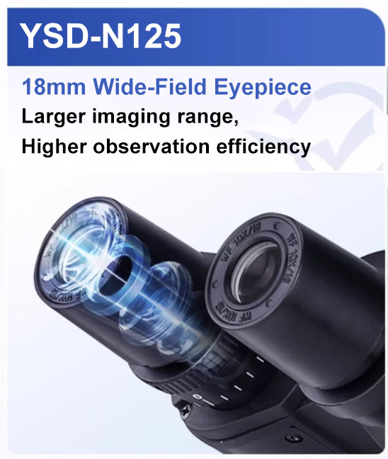 Biological Microscope