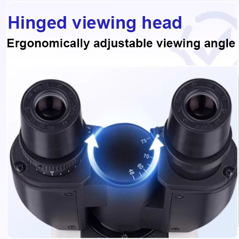 adjustable Binocular Biological Microscope