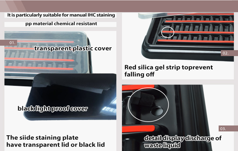slide staining tray