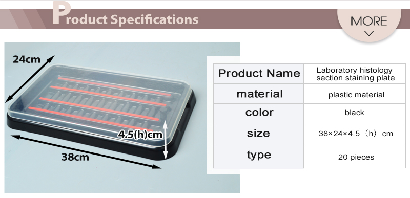 section stianing plate