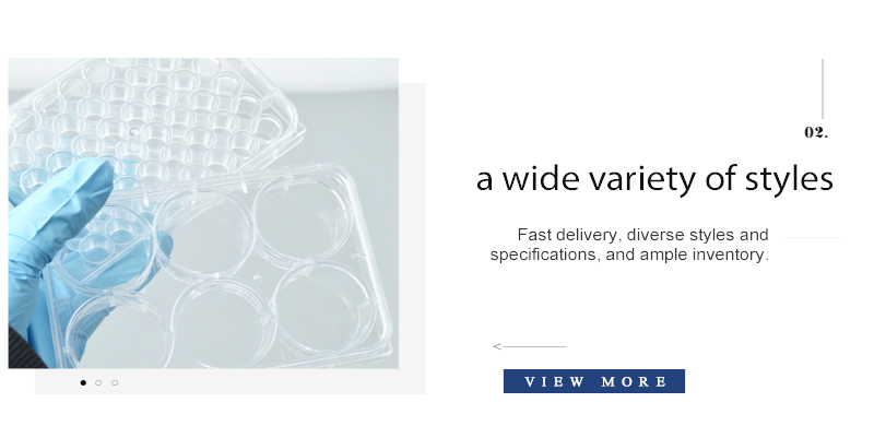 6 hole cell culture plate