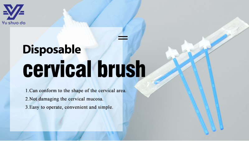 Cervical Cytology Brush