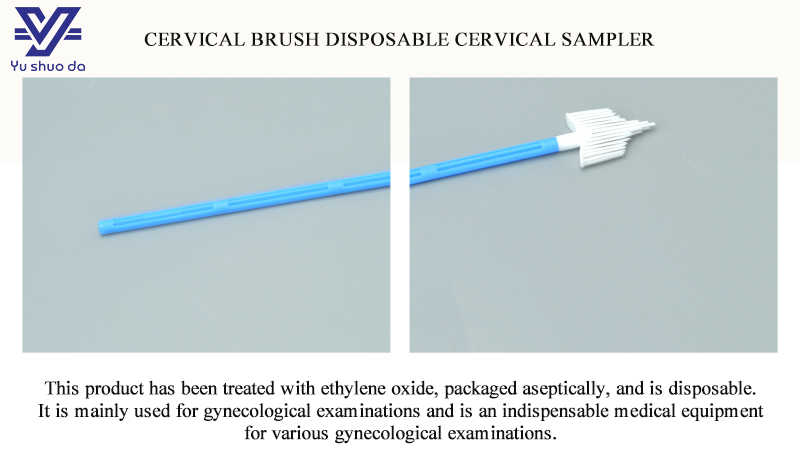 pp Cervical Cytology Brush