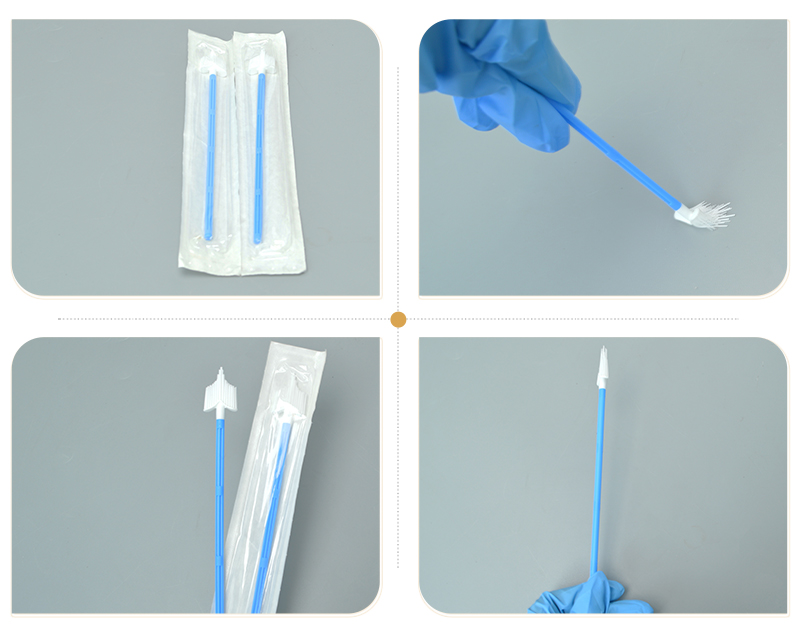 PP Disposable Cervical Cytology Brush