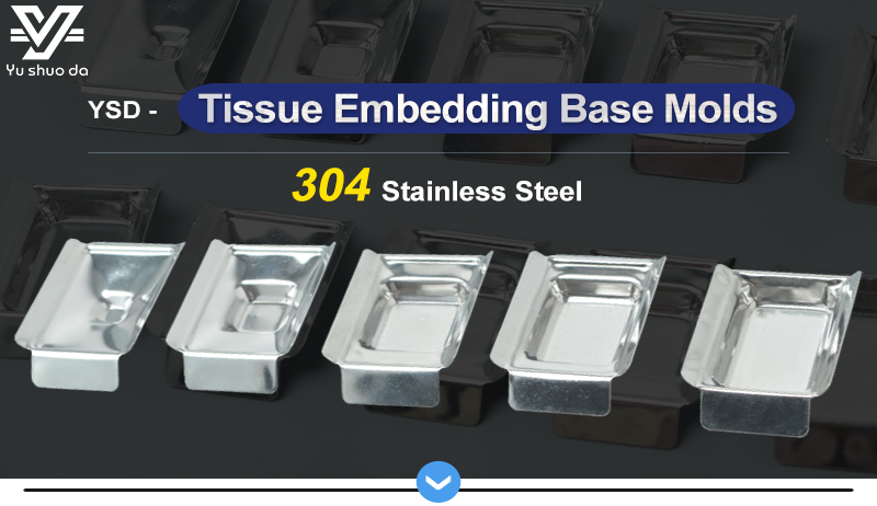 Base Molds