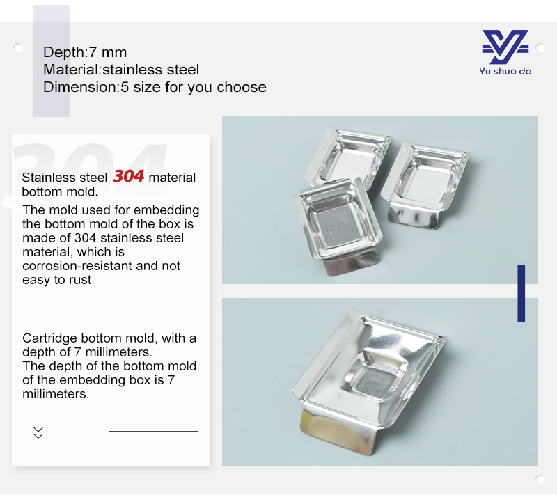 5 sizes 304 Base Molds