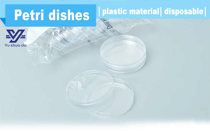 Petri Dish