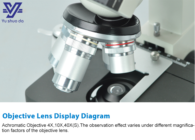 Biological Microscope features WF10X 