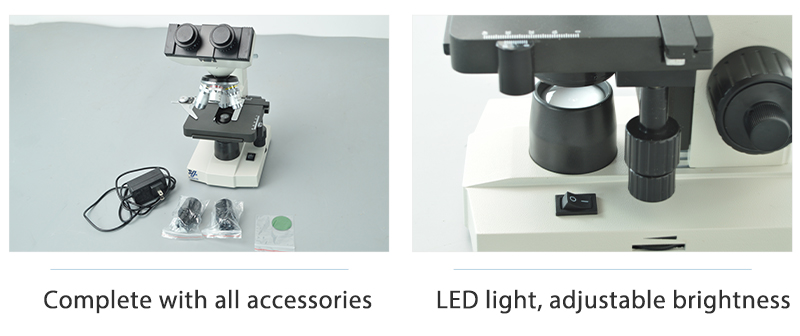 lab slide Microscope WF10X 