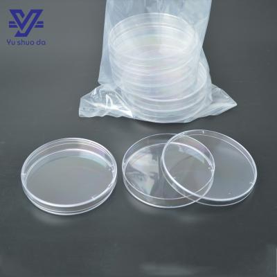Petri dish