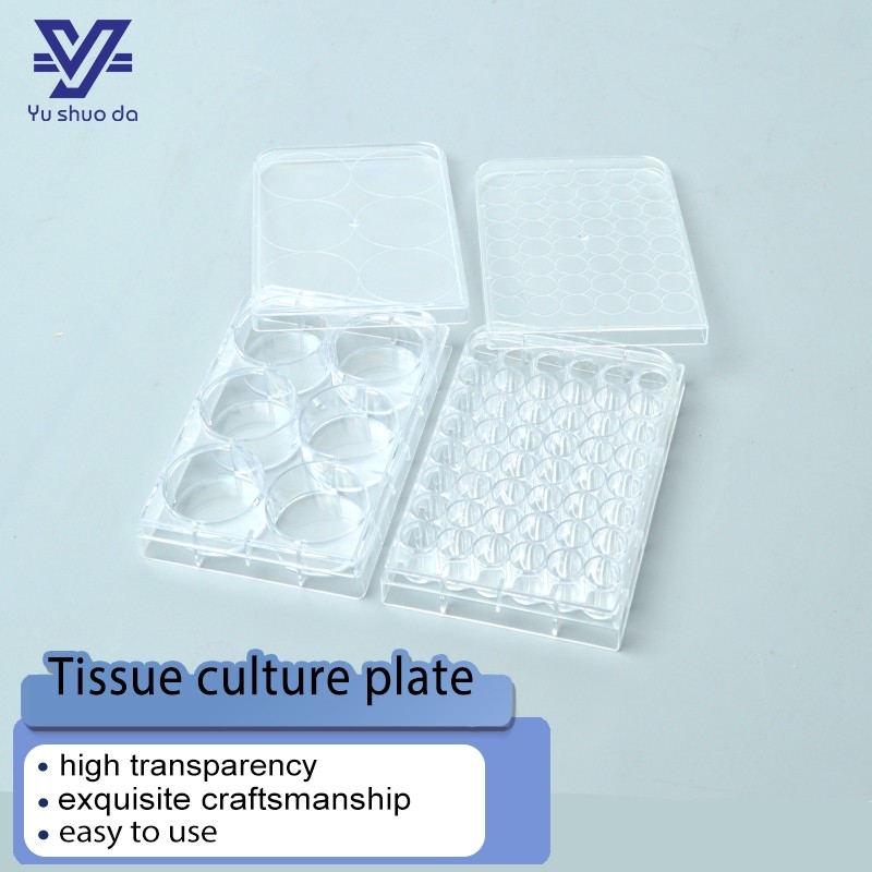 Cell Culture Plate