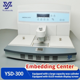  Embedding Center