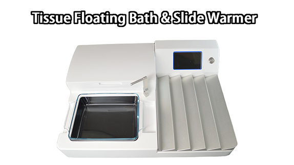 2024 New Design Laboratory Pathological Research Slides Tissue Floating Bath And Slide Warmer