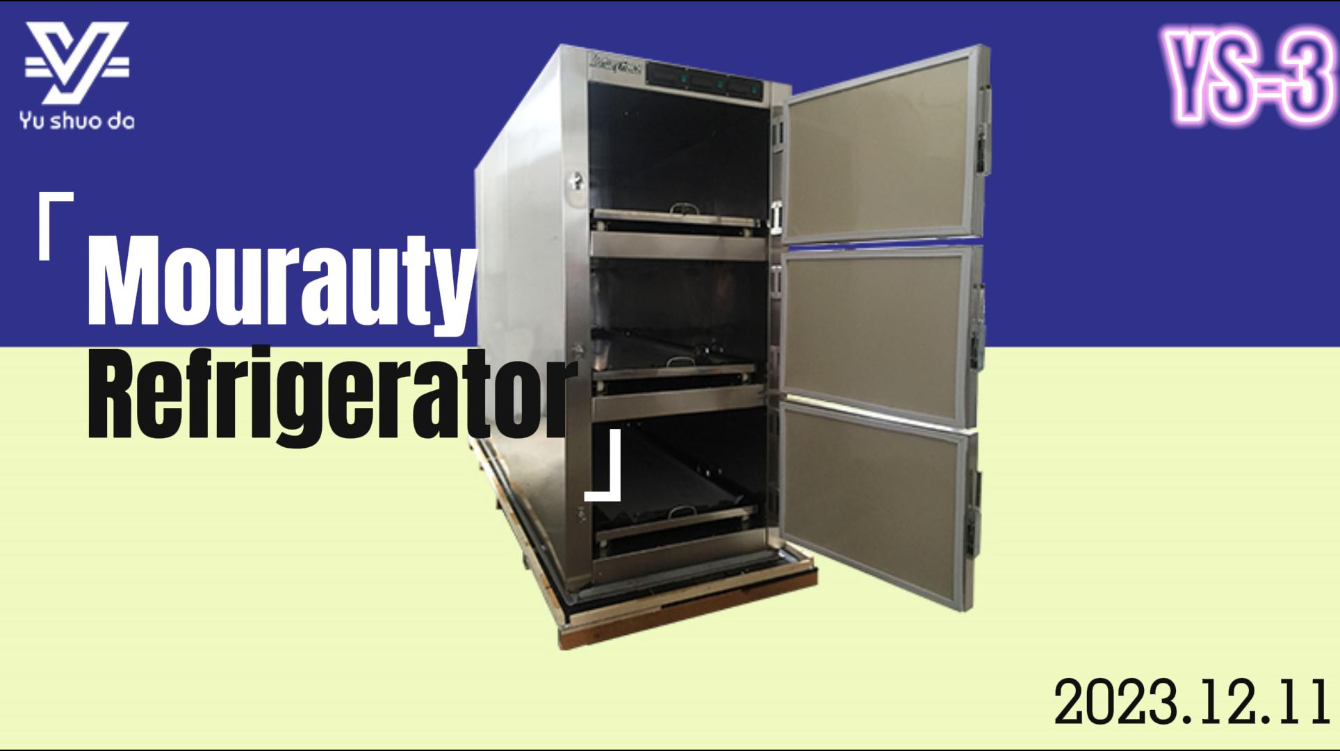 Good price CE certification 3 dead body mortuary refrigerator with lock