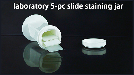 High Quality Laboratory Histological Tissue Staining Jar