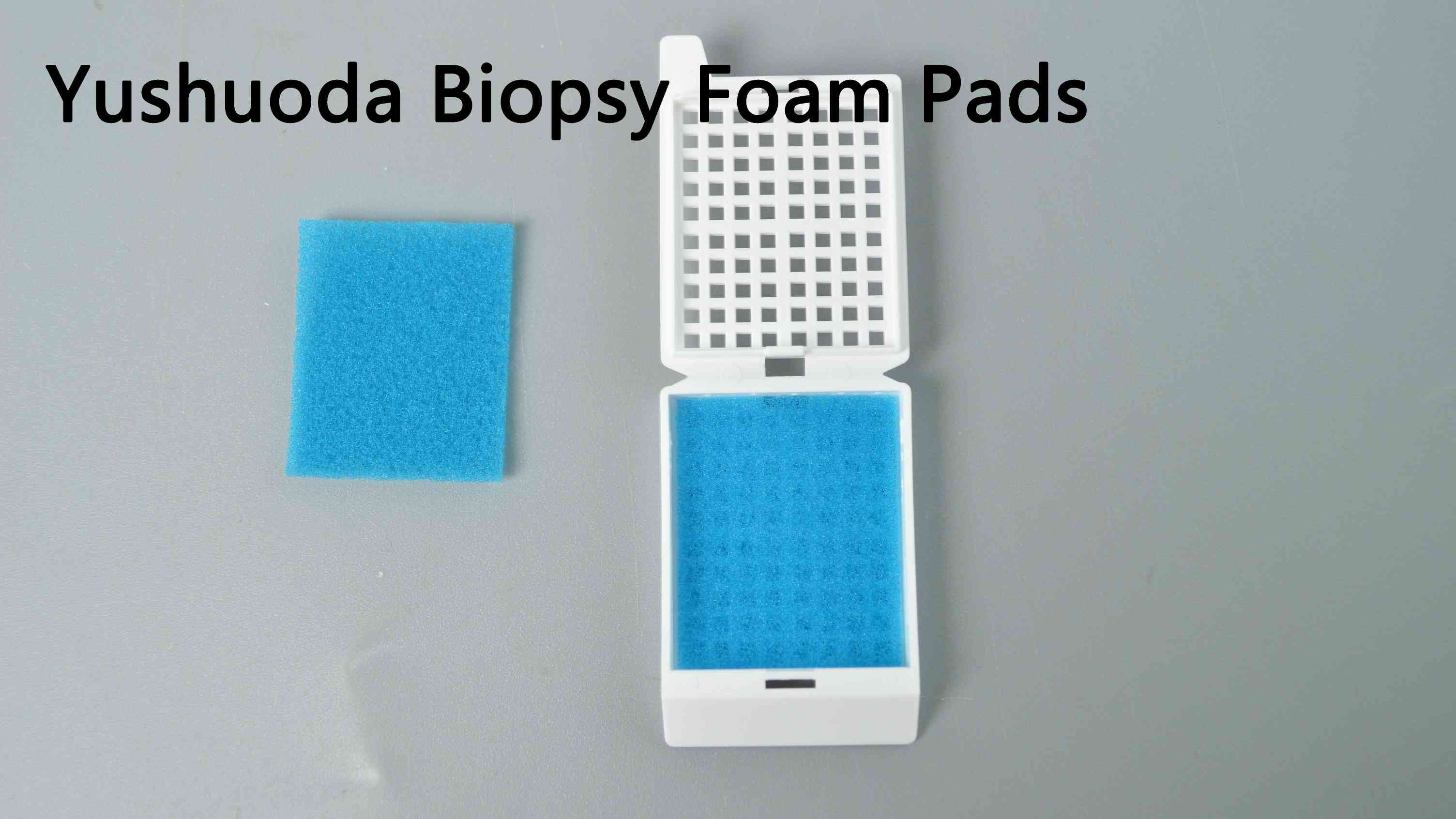 laboratory tissue processing use sponge embedding cassettes pads
