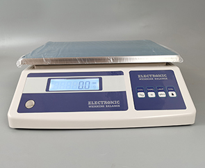 hospital mortuary equipment cheap stable anatomy scale