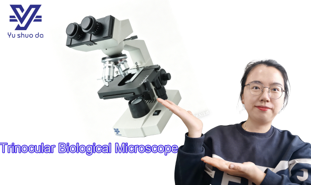 YSD Laboratory High Precision Clear Imaging Trinocular Biological Microscope