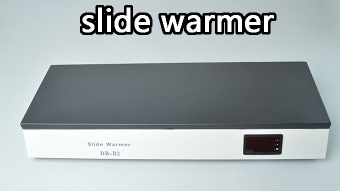 HIgh quality laboratory research use heating tissue slides warmer