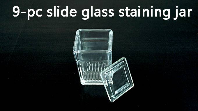laboratory pathological tissue slide glass staining jar