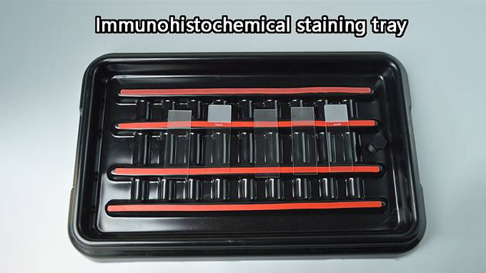 YU SHUO DA laboratory uses immunohistochmecial staining tray slide try